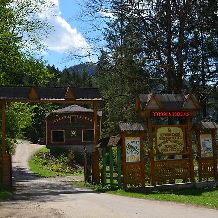 Sadyba Lisova Kvitka Verkhniy Yasenov Luaran gambar